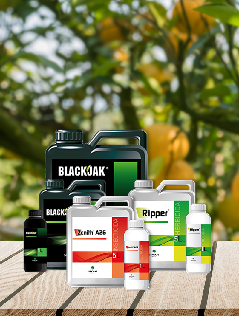 Recomendamos o melhor do nosso catálogo